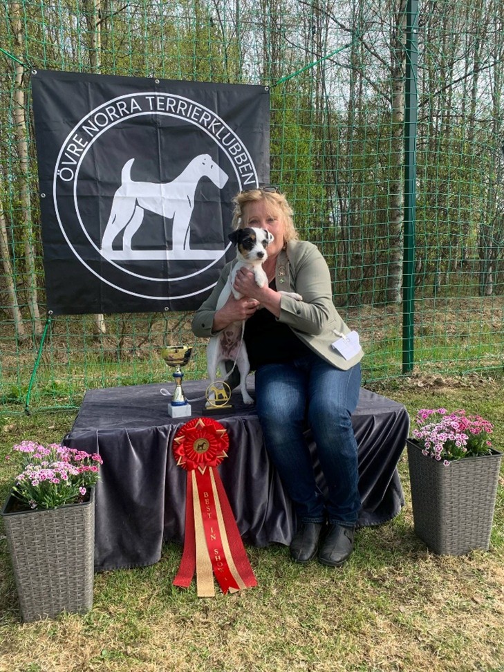 Best in show