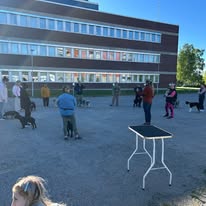 Ringträning i Piteå