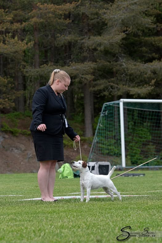 Lady och Eeva